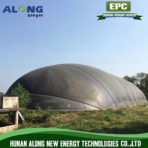 [Hot Item] HDPE/High-Density Polyethylene Cow Waste Manure Biogas Digester