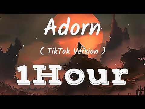 Miguel - Adorn | [ Lyrics ] | [ 1Hour ] [ Loop ] | [ TikTok Version ]