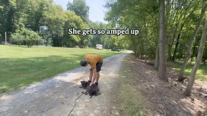 1.5K views · 15 reactions | Charlie the GSP is out working on duration heel on and off leash as well as her Downstay and recall! We also touch on calm affection vs crazy affection | Julie's K9 Academy - Dog Training | Facebook