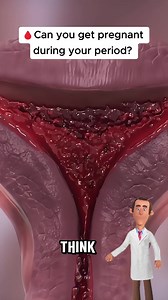 Can You Get Pregnant During Your Period? The Truth