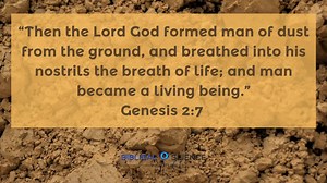 33 reactions | Genesis 2:7 | Biblical Science Institute | Facebook