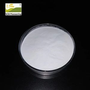 [Hot Item] Top Quality 99% Bulk Gamma-Cyclodextrin Powder Gamma Cyclodextrin Price