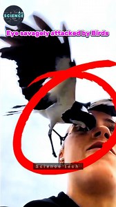 4.7K views · 29 reactions | science Guru on Reels | Facebook