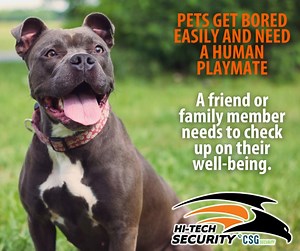 WHO IS YOUR PET’S HUMAN PLAYMATE WHEN YOU'RE AWAY ON HOLIDAY? Pets get bored easily and need a human playmate. A friend or family member needs to check up on their well-being. It gets very hot towards the end of the year, does your pet have enough shade or shelter, water and food? Snakes are also very active during hot months, please do not leave your pets alone for long periods of time, let someone check up on their well-being regularly. For emergencies, contact our Control Rooms as follows: Ne