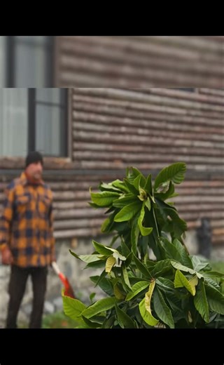 3.1K views · 68 reactions | #cooking #ChefLife #foodporn #chef #food #foodie #instafood | Special Cooking | Facebook