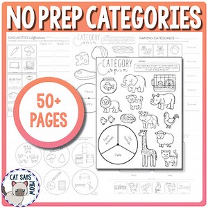 Categories No Prep Worksheets (What doesn't belong, Naming, etc.)