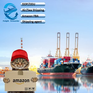 [Hot Item] Fast DHL/FedEx/UPS/TNT Shipping Freight Agent From China to United States Canada Mexico