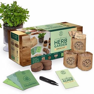 [Hot Item] Garden Republic Herb Garden Starter Kit