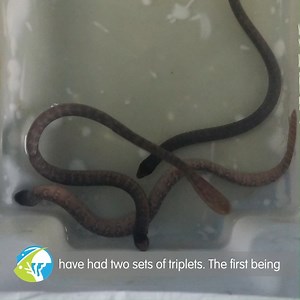 1.7K views · 56 reactions | We're sss-elebrating the 2nd birthday for...