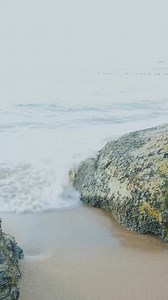 2.4K views · 60 reactions | Christmas in the SAND #christmas #merrychristmas #alcazarshowpattaya#pattaya #thailand #beach #sand #ocean #cabaret #showgirl #alcazar #lgbtqia #pride #proud #christmasinthesand | Alcazar Cabaret Show Pattaya | Facebook