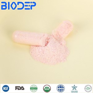 [Hot Item] Probiotic Capsules in Bulk Dietary Supplements