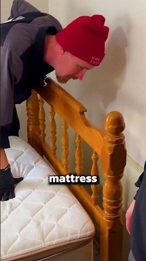 Check Your Hotel for Bed Bugs & Roaches!