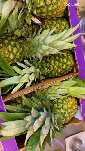 For today pineapple sorbet #sorbet #sorbetgelato #sorbetpineapple #fruit #fruitgelato #gelatolovers #gelato #gelatohomemade #primosten #primostencroatia #primostenphotography #slastičarnanautika #croatia #croatiatravel #croatiafulloflife #instagood #instafood #instagram #instavideo #instaviral | Slasticarna Nautika