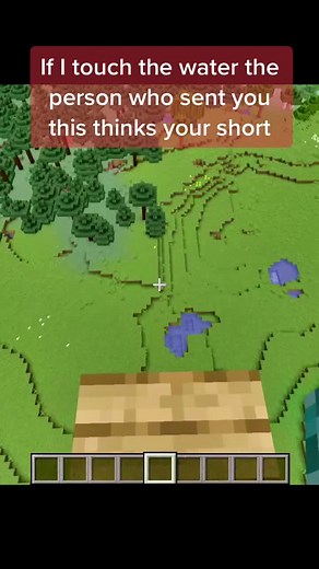 Basic Builds on TikTok