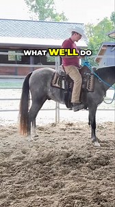 Unlock the secrets of effective horse training in this insightful video! Join us as we guide you through the training duration and techniques, focusing on positive reinforcement and the transition to bit training. Perfect for horse enthusiasts looking to enhance their skills!#HorseTraining #EquestrianSkills #PositiveReinforcement #BitTraining #HorseRiding #EquineEducation #TrainingTechniques #HorseCare #RiderTips #HorseLovers | Ed's Walking Horses