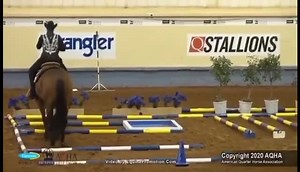 Keeping It Fancy Double Registered AQHA & APHA 2014 Model Bay Gelding 15.3H ▪️Keeping It Good x MWS Flashy Pokydot - 🏆2020 World Champion L1 amateur Trail - NSBA World Show 3x top 10 in 2020 2 top 10 in 2019 1 top 5 in 2019 - Proven all around deluxe - 122.5 Amateur & 66 Open points - Several Circuit Champions and High Point all arounds awards - Points in Trail, Pleasure, Showmanship, Halter, and Horsemanship - Great Open, Amateur, or Youth horse | Mark Harrell Equine Marketing