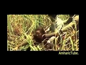 Ethiopia - Sost Meazen [Triangle] Trailer