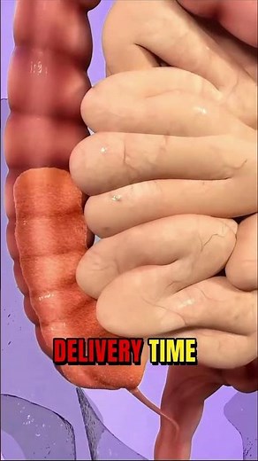 You’re Literally Making Poop RIGHT NOW #facts #poop #biology