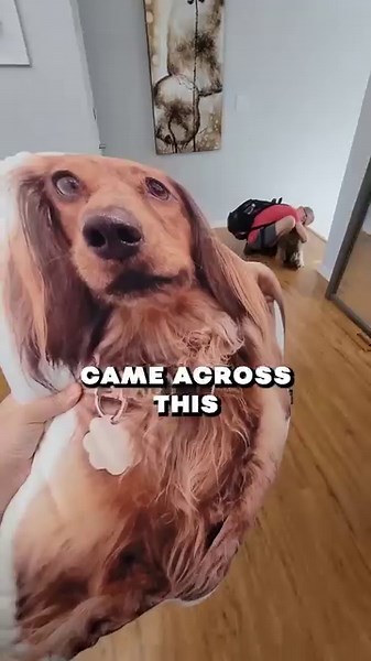 Buy 2 get one free! Shop now at www.allaboutvibe.com | All About Vibe | Facebook