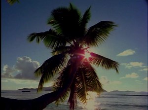 11 reactions | WWE SMACKDOWN - SEPTEMBER 30, 2004....#carlito #carloscolon #puertorican #puertorico #puertorico #wwc #caribbeancool #wwesmackdown #wwfsmackdown #wwesmackdownlive #wwe #wwf #wwefans #wwefan #vincemcmahon #prowrestling #wrestling #wrestlingfan #wrestlingfans #wwenetwork #wweuniverse #luchalibre WWE Network WWE | That Wrestling Dood | Facebook