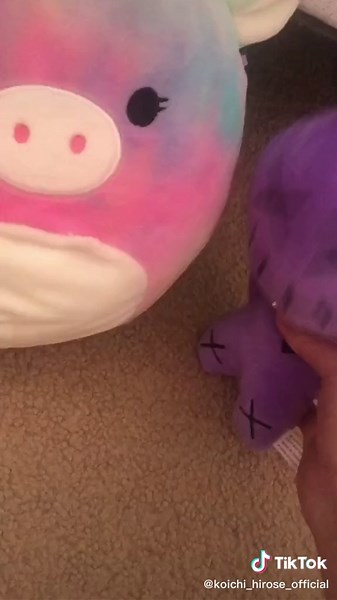 Koichi Hirose ☺️ on TikTok