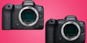 Which One is Better, The Canon EOS R5 or R6?