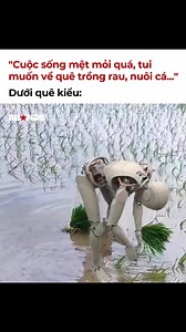 3.4K views · 21 reactions | Nguồn: Brands Vietnam Giờ đâu phải dễ mà về quê trồng rau, nuôi cá COCK Agency #cockagency | COCK Agency | Facebook