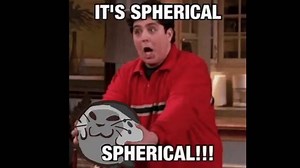 Harp Seals ~ MarineBio Conservation Society