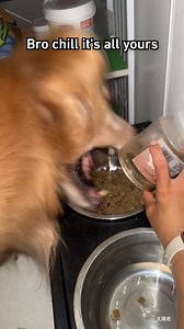 611K views · 1.6K reactions | Gotta eat fast while they last | Barked | Facebook