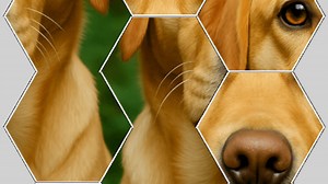 Download & Play Hexa Connect Puzzle on PC & Mac (Emulator)