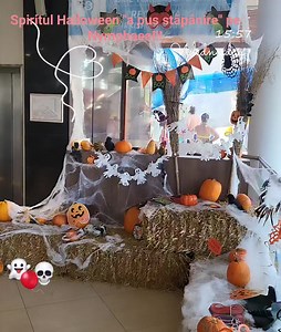 Aquapark Nymphaea Oradea on Reels