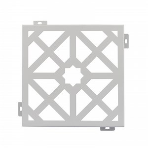 [Hot Item] 2mm 2.5mm 3mm Facade Aluminium Cassette Rainscreen Cladding