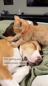 149K views · 240K reactions | This is a beautiful natural example of...