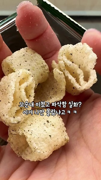 농협에서만 파는 양념김맛 꼬북칩? 이거 왜 안 떴지 진짜ㅋㅋ 글램핑 장보러 농협 갔다가 신상인 줄 알고 집은 꼬북칩 양념김맛. 검색해보니 작년에 나왔대ㅋㅋ 근데 왜 난 처음 보냐고. 일단 쌀로 튀겼다길래 기대감 상승. 기존 옥수수 꼬북칩이랑 다르다? 까자마자 꼬순내 확. 사이즈는 살짝 더 작고 단단해. 김맛 기대하면 살짝 다를 수도. 김 단독이라기보다 콘스프에 고소함 짭짤함 배가된 느낌? 무엇보다 식감이 다름. 기존보다 더 경쾌하게 파삭. 그냥 먹어도 줍줍인데 이건 맥주 안주각이다 진짜. 문제는 접근성. 농협에서만 보이는 비운의 아이콘ㅋㅋ 편의점에 좀 풀어주면 분명 더 떴을 맛인데. #꼬북칩 #꼬북칩양념김 #농협한정 #쌀과자 #식감파