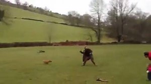 Dog makes a bad ass leap! | Horseplay Today