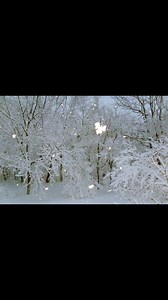 Snow Angel | Grieving Mothers