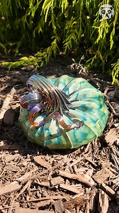 855K views · 1K reactions | Colored pumpkin for Halloween Partner: akronglassworks | Bored Panda Art | Facebook