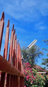 21K views · 2.5K reactions | True story 來 | DarkChild_33 Official | Facebook