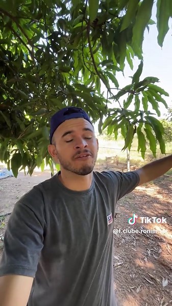 FÃ CLUBE RONIM SOLSA no TikTok