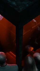 38K views · 36 reactions | High Alone Out Now!! | Jackson Wang | Facebook