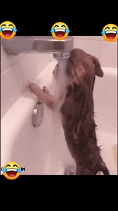 7.2K views · 34 reactions | I warned my cousin about dating a venda man & I told her “Venda men will humble you,” but she thought I was just hating, now she’s here crying like a goat & she's out here learning Venda 101: Tears and lessons edition! #mjoloIsNotForTheWeak” 藍藍藍 | Lucy Mmathabo Moloto | Facebook