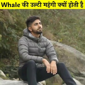 why whale vomit is so expensive #Whale #Ambergris #marinelife #viraltopic #newviralvideo #reelsfb | Deep Access