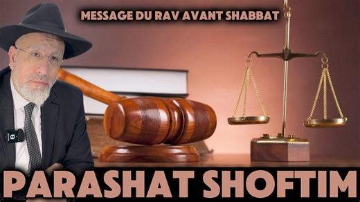 2.3K views · 69 reactions | Parashat Shoftim 5784 (2024) Message du Rav avant Shabbat  Torathaim.net | Torat Haim - Rav David Touitou | Facebook