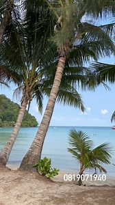 169 reactions · 12 shares | Today vibes #kohkood | Siam Beach Resort Koh Kood - สยามบีชรีสอร์ท เกาะกูด | Facebook