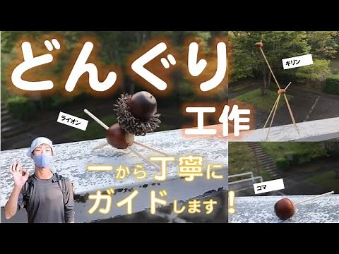 どんぐり工作 基礎から解説！ （どんぐりでコマ キリン ライオンを作ろう！）ますおのちょこっと外遊び！ Explanation from the basics of doggie work!