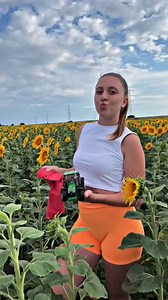 #johndeere #jd #modeling #photoshoot #sunflowers | Tractor