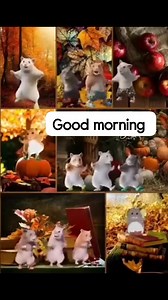 Helllloooooooo Bon mercredi tout le monde 😉 | Sublimez vous avec Céline By Onikha