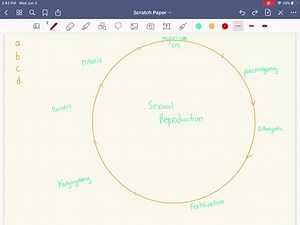SOLVED:What does it mean to say that a hypha is dikaryotic? a. Two nuclei fuse during sexual reproduction to form a zygote. b. Two independent nuclei, derived from different individuals, are present in each cell. c. The nucleus is diploid or polyploid-not haploid. d. It is extremely highly branched, which increases its surface area and thus absorptive capacity.