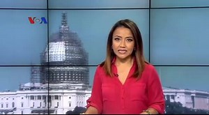 18K views · 311 reactions | Kutu rambut yang tak mempan dibasmi ditemukan di sejumlah negara bagian di Amerika Serikat. Hal ini menjadi lahan bisnis bagi sejumlah pengusaha pembagian kutu. Selengkapnya ikuti laporan reporter VOA Patsy Widakuswara. Di YouTube: https://youtu.be/N1ukwte-W4Q | VOA Indonesia | Facebook
