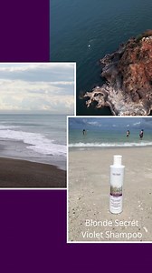 Blonde Secret shampoo neutralizes warm tones in blonde hair by depositing violet pigment. Learn more on nutreecosmetics.com. Link in bio | Nutree Professional USA | Facebook